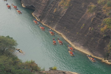 关于菩提树下唯美句子集锦60句