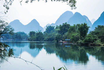 关于菩提树下唯美句子集锦60句