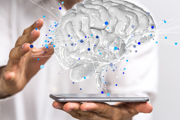 广州的长隆飞鸟乐园值得带孩子去吗？