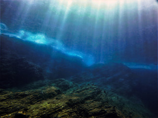 关于菩提树下唯美句子集锦60句