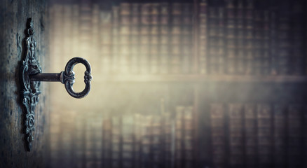 广州的长隆飞鸟乐园值得带孩子去吗？