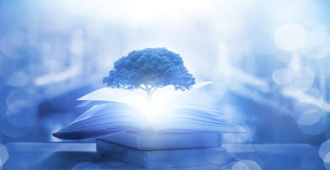 广州的长隆飞鸟乐园值得带孩子去吗？