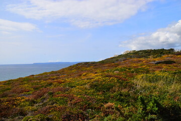 推荐一本关于数学的书适合小学一年级的小朋友