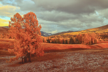 《哆啦A梦》的口袋到底有多大？