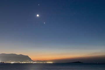 关于菩提树下唯美句子集锦60句