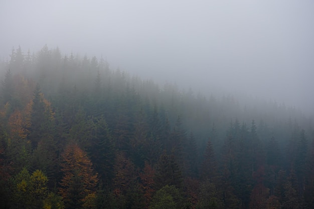 初一必读书目有哪些