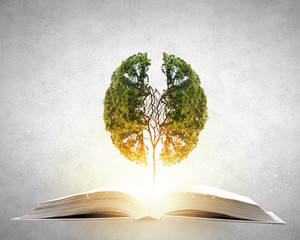 初一必读书目有哪些