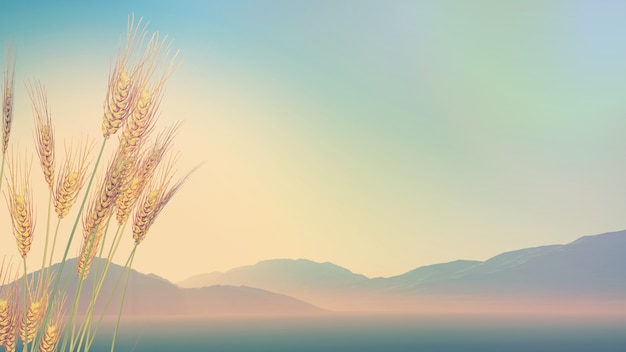 生活中有哪些科学解释不了的自然现象？