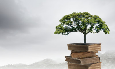 生活中的气象小知识？