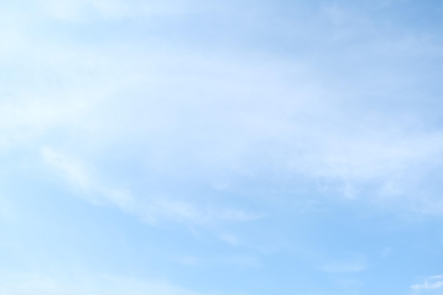 关于菩提树下唯美句子集锦60句