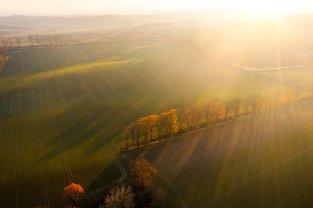 二十四节气科普小知识