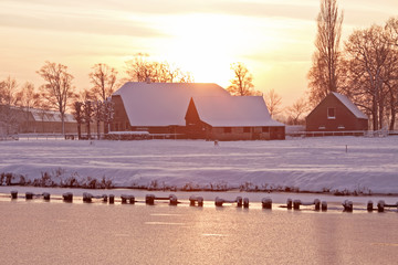 初一必读书目有哪些